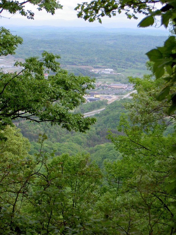 View towards Meadowview