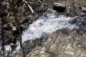 Dolan Branch Falls from above