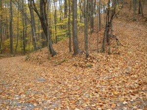 Lake Road intersection at Feagins Gap