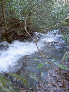 Looking down from 3/4 of the way up this 200' cascade section