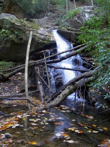 Lower part with a fair amount of debris