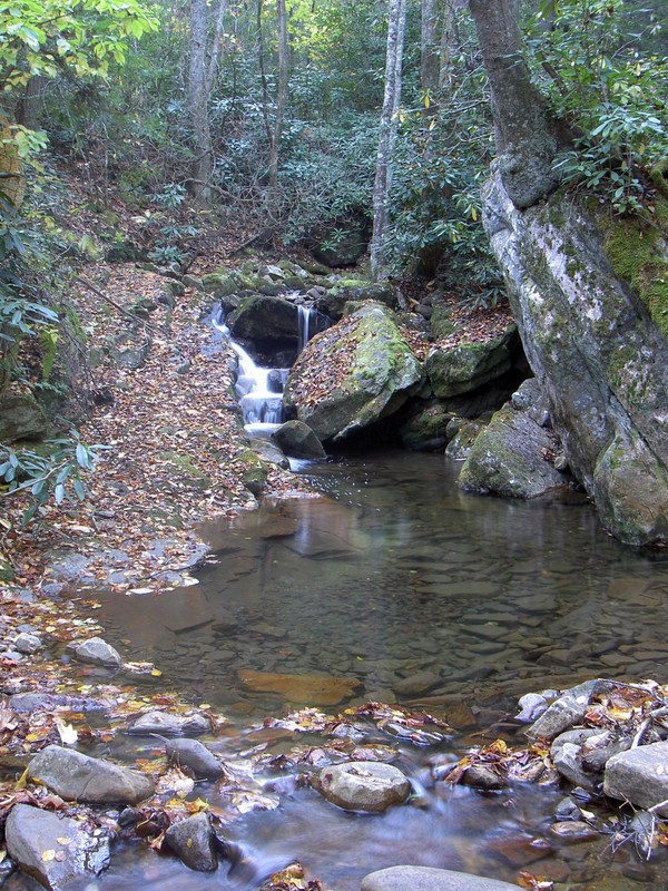 A section a short distance further upstream