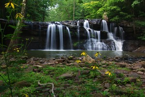 Highlight for Album: Brush Creek Falls