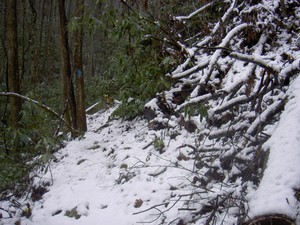 No snow at the beginning of the trail, probably 3