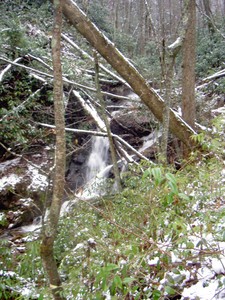 A small cascade on the creek a short ways down from the main falls