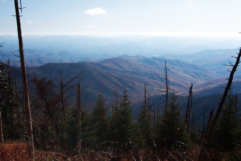 Clingman's Dome