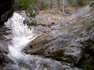 First view of the V, Firescald Branch on the left and Little Laurel Fork on the right