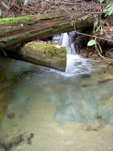 Upstream there are lots of green rocks in the creek. Here the bottom of this small pool was made of the same.