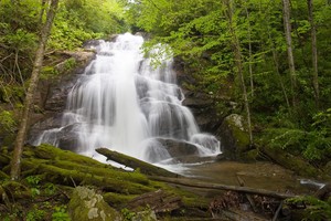 Lower Falls