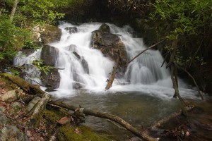 1 of 3 middle falls