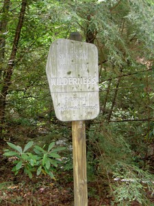 On Squibb Creek Trail
