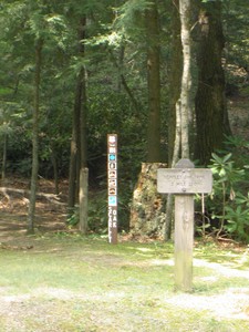 Scarlet Oak Trail, CNF 181