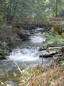 8/27/2004 - Beginning of hike to Petes Branch, looks like plenty of water today