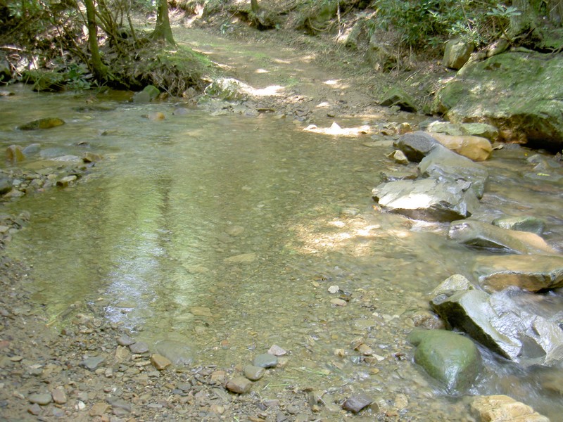 One of probably 10 creek crossings, some fairly tough if you want to stay dry