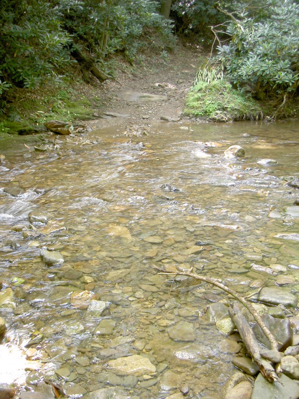 Another crossing, the first 4 are on road 94b 