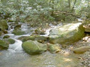 Two streams converge right above that last crossing