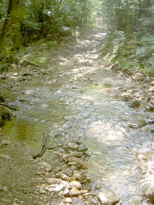 The last crossing on 94b, the Poplar Cove Trail branches off a few hundred yards past here