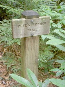 The sign was destroyed at the beginning of this trail but a short distance up this sign remained