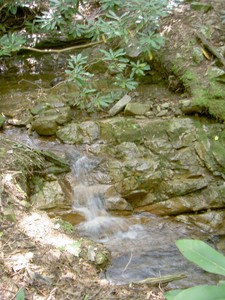 Close to one of the crossings was this interesting little cascade and pool