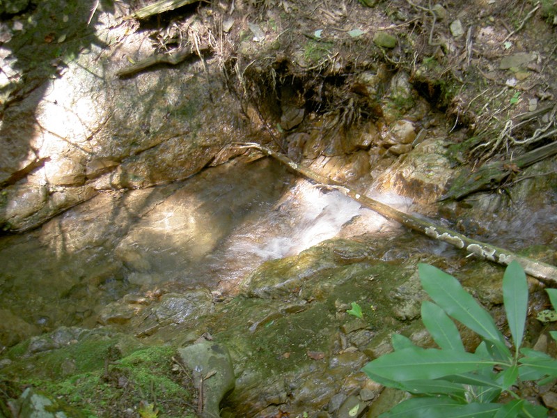 On the way back out, an interesting little pool