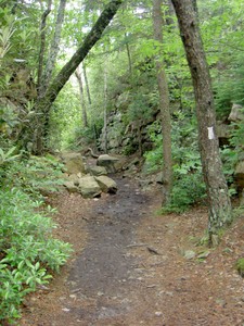 In multiple places the trail follows narrow manmade 