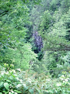 The river flows through a narrow gorge above the falls. It can be heard here but not easily seen.