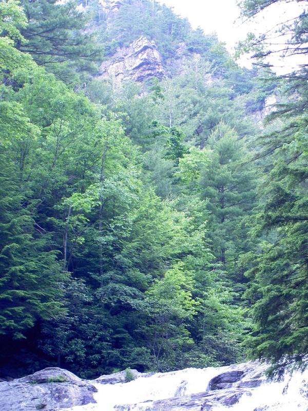 Top of the falls and a cliff above.