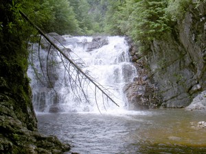 From under the trees to one side of the falls.