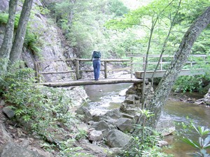 The bridge with some human perspective.