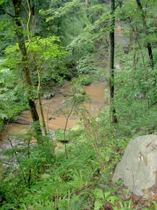 Looking downstream from just above the falls and small cascade above the falls.