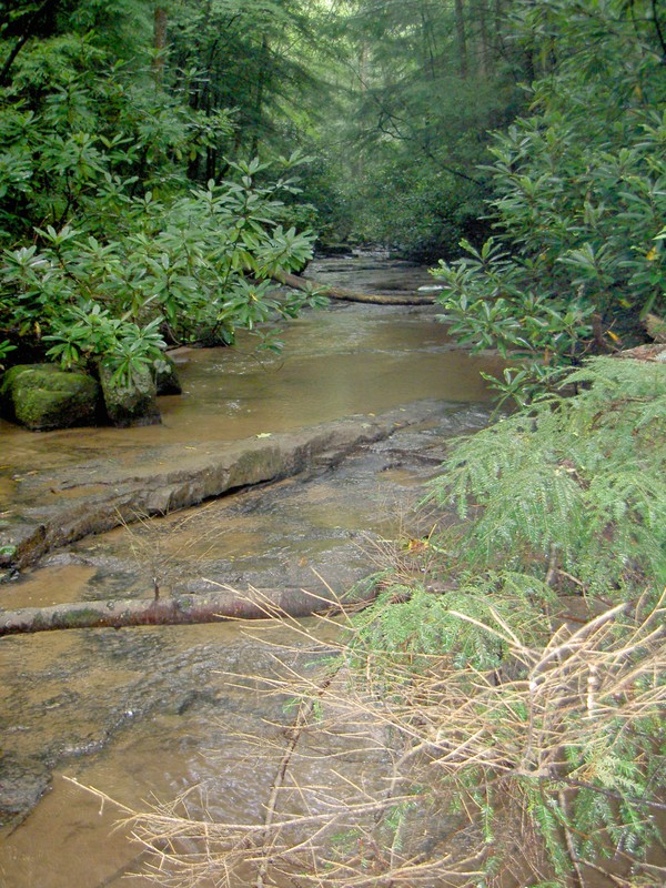 Nice peaceful creek