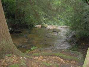 Looking downstream just above that second falls.