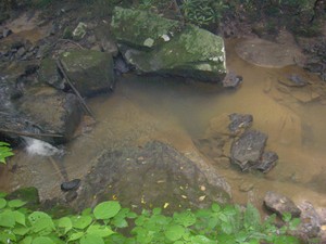 Just an interesting little pool of water.