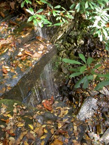 Kiner Creek Falls, the trail has a spur that comes out right at the lip at the top