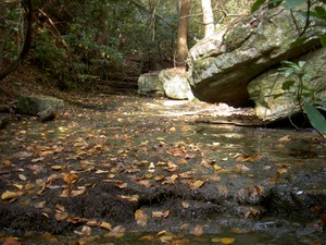 Creek right above the falls