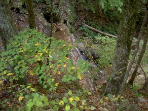 Not actually in Laurel Run Park but close by, this is Bays Mountain Falls