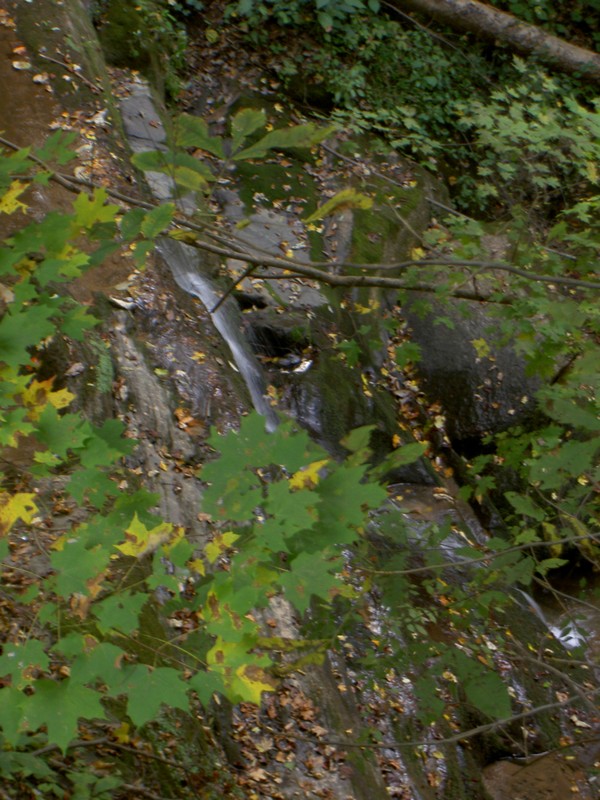 It's beside the road and has posted signs and LOTS of trash. Pics from the road