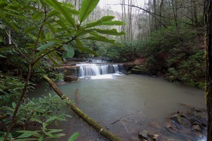 Just above Laurel Run Falls