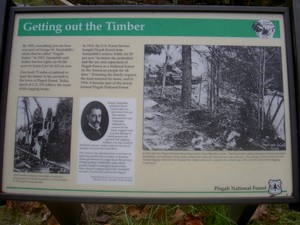 Infoboard at the top talking about the Pisgah Forest