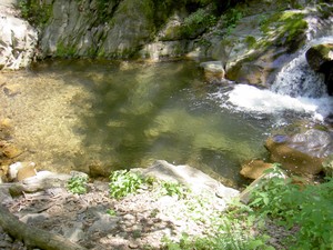 A pretty good sized pool of water on the way up.