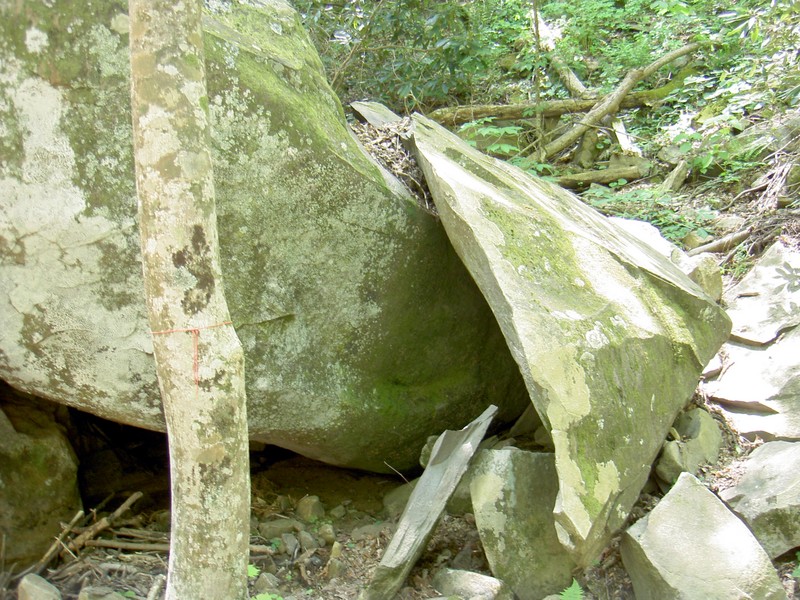 Interesting rock. It looked like the top of a larger boulder sheared off. Just the cap of it and it's not off of the rock it's leaning against.