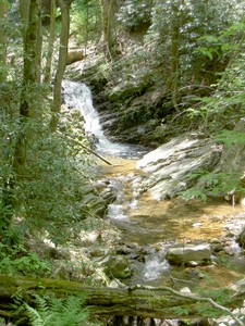 A small cascade not far from the entrance.