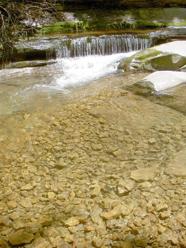 Cool pool of water.