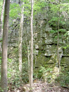 The base of Cathedral Rock.