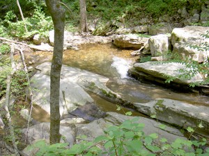 More of the creek.