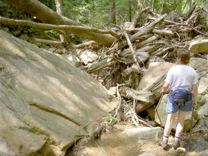 More of the obstacles that now block a portion of the trail.