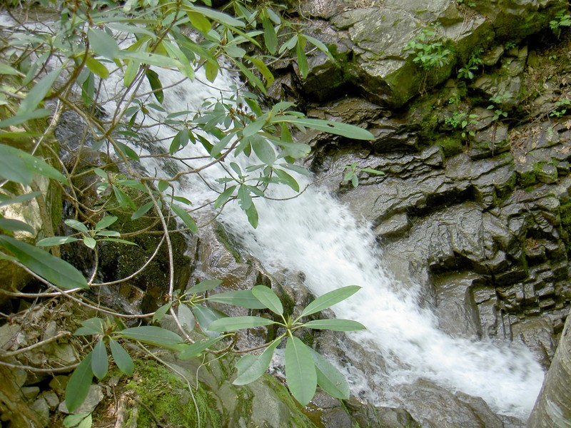 A cascade of water that has carved out a large and deep pool.