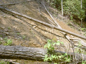 The sides of the hillside have slid and destroyed the trail in multiple locations. This is one of the worst ones.