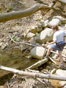 Some perspective on the obstacles that have to be traversed where once there was a good trail.