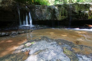 Highlight for Album: Marsh Fork Falls